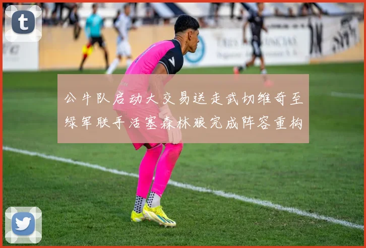 公牛队启动大交易送走武切维奇至绿军联手活塞森林狼完成阵容重构