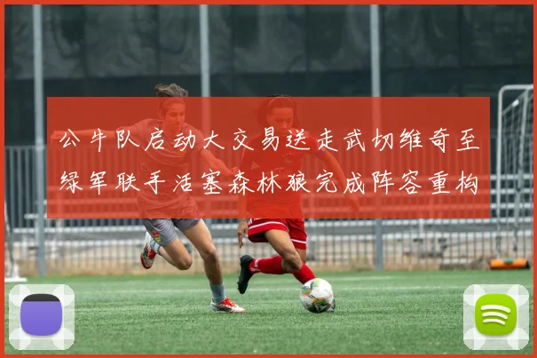 公牛队启动大交易送走武切维奇至绿军联手活塞森林狼完成阵容重构